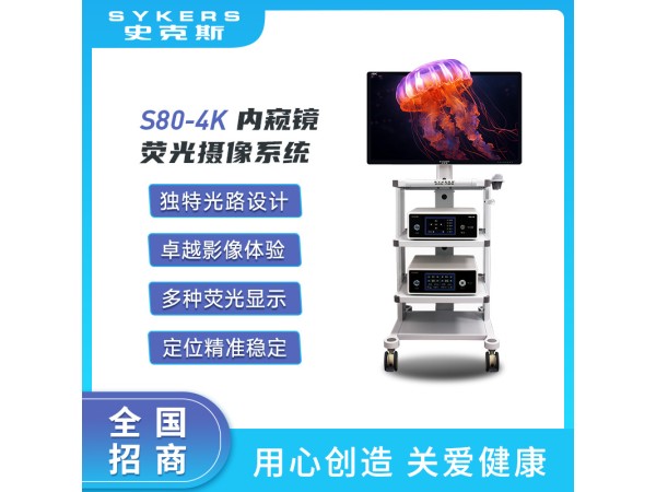 SYKERS 史克斯內(nèi)窺鏡 4K熒光攝像系統(tǒng) 超高清攝像系統(tǒng) 4K監(jiān)視器 冷光源