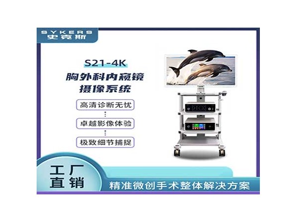 SYKERS 史克斯內(nèi)窺鏡 4K關(guān)節(jié)鏡攝像系統(tǒng) 關(guān)節(jié)動(dòng)力刨削系統(tǒng)