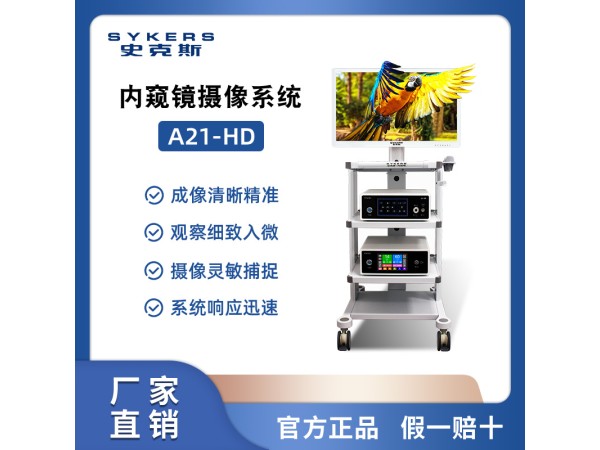 SYKERS 史克斯內(nèi)窺鏡 喉鏡攝像系統(tǒng) 耳鼻喉治療臺(tái)