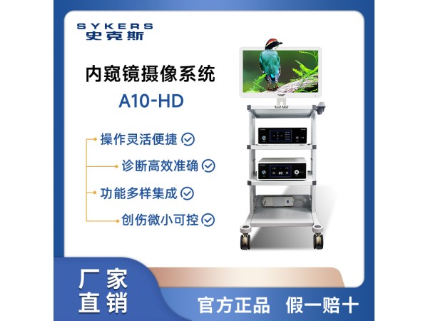 SYKERS 史克斯內(nèi)窺鏡 高清關(guān)節(jié)鏡攝像系統(tǒng) 關(guān)節(jié)動(dòng)力系統(tǒng)