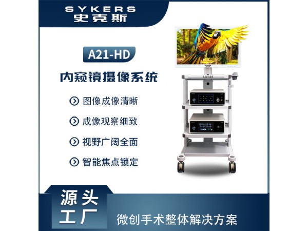 SYKERS 史克斯內(nèi)窺鏡 關(guān)節(jié)鏡攝像系統(tǒng) 高清內(nèi)窺鏡攝像系統(tǒng)