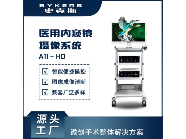 SYKERS 史克斯內(nèi)窺鏡 高清內(nèi)窺鏡攝像系統(tǒng) 泌尿外科 尿道膀胱鏡