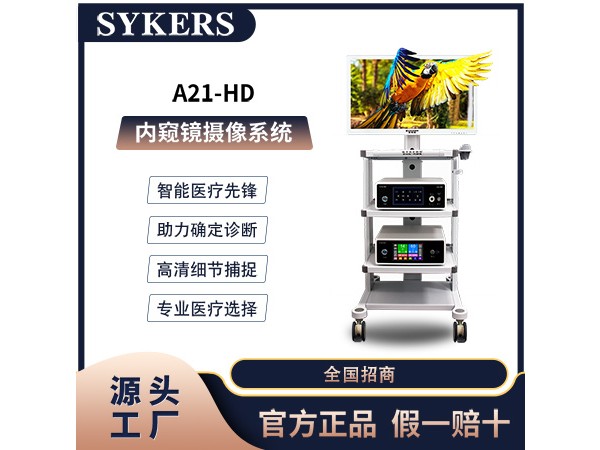SYKERS 史克斯內(nèi)窺鏡 內(nèi)窺鏡 攝像系統(tǒng) 神經(jīng)外科 腦室鏡