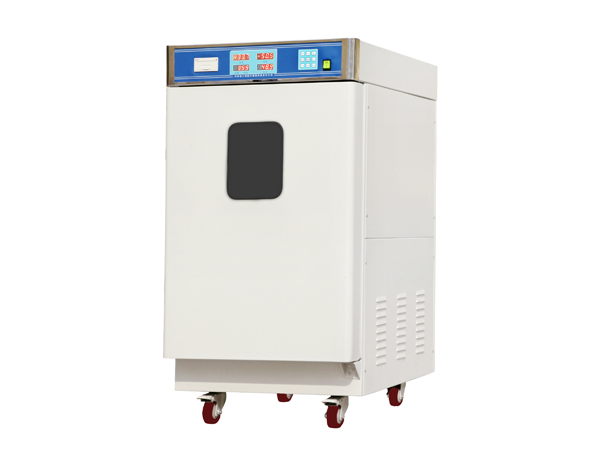 環(huán)氧乙烷滅菌柜（手動型立式）