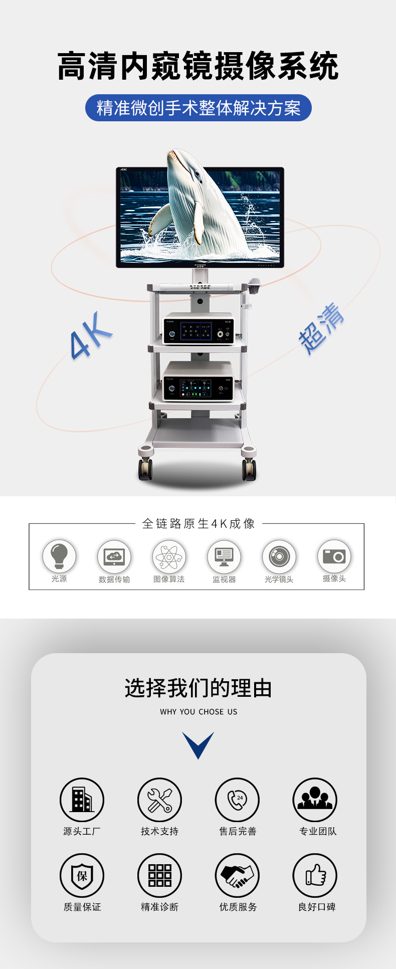 4K詳情圖-2 (1).png