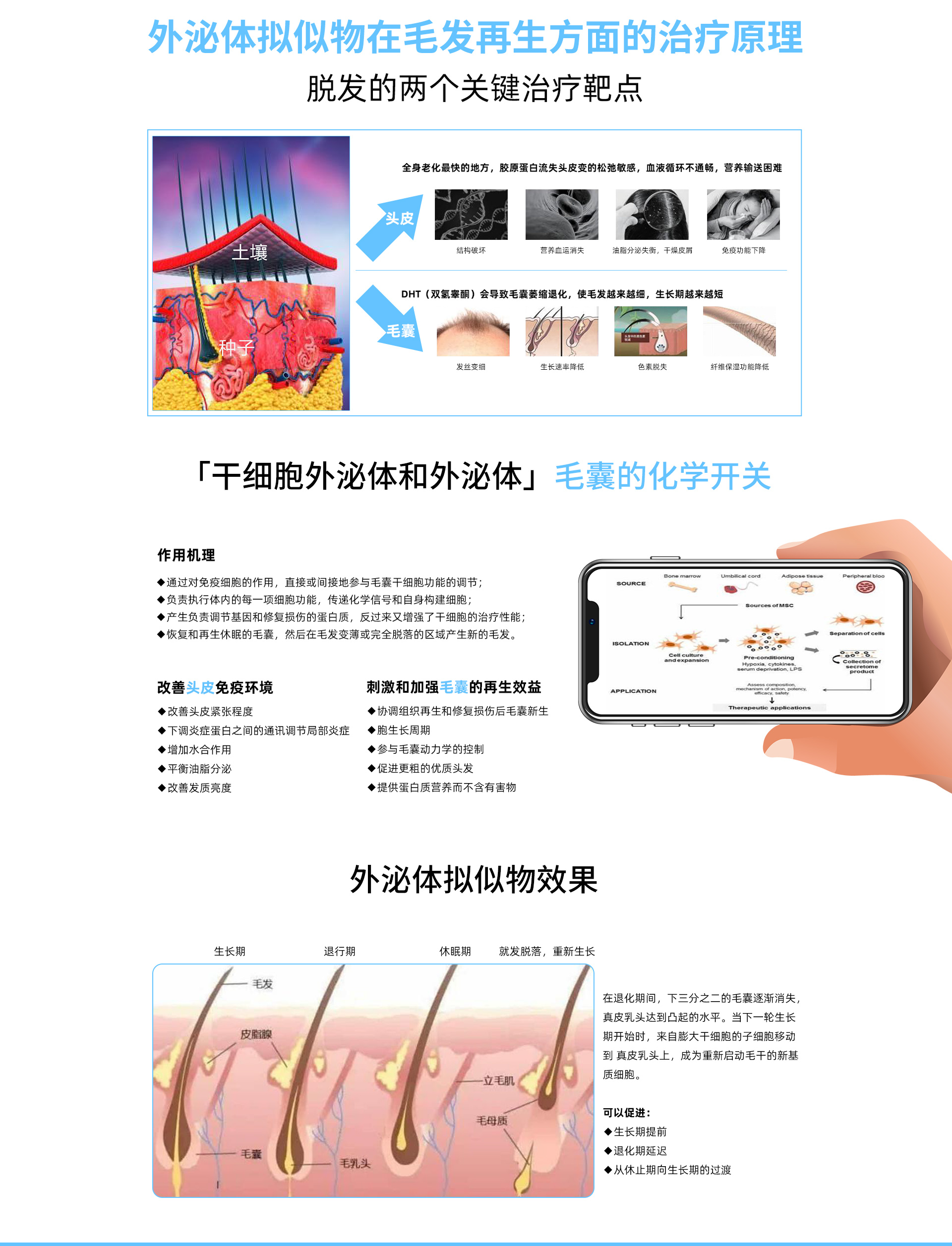 干細(xì)胞生發(fā)